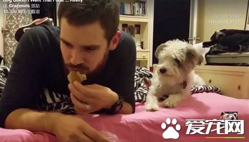 主人吃零食太香 汪星人频频偷看还装没事