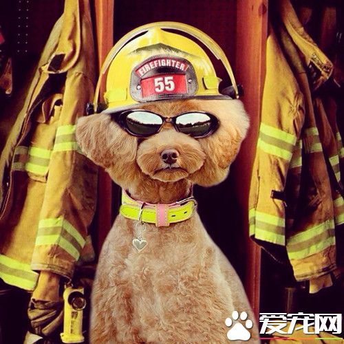 作为一名消防队员，就要拥有一颗烈火雄心