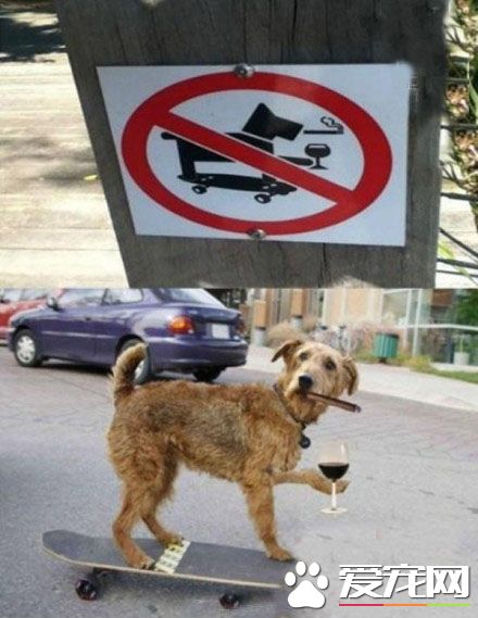 这个就叫做个性