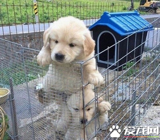 兄弟加把劲，我闻到自由的味道了