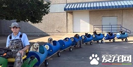 美国退休老人打造小狗列车 载流浪狗兜风