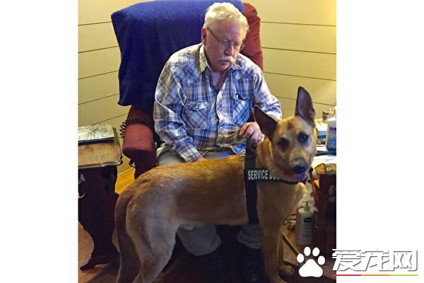 爱狗被法官判死刑 主人想到这个方法救它