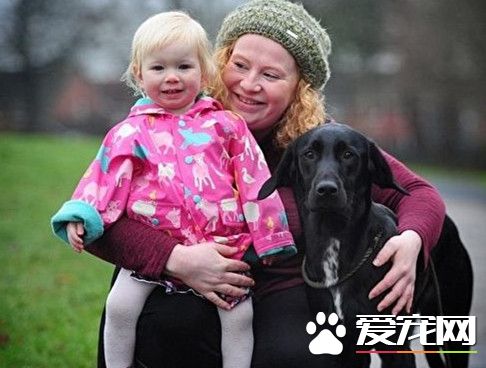 英女童差点窒息 英雄狗叫醒妈妈救人