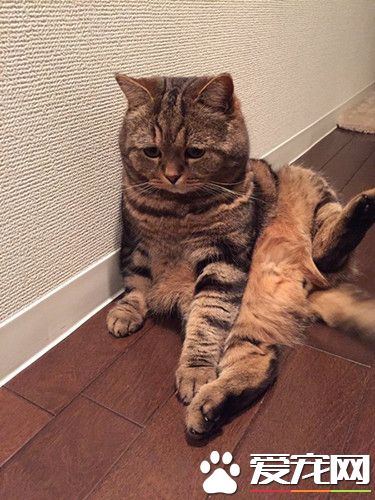 宝宝心里苦，但宝宝不说