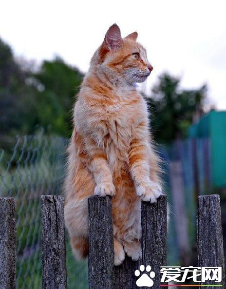 站得高才能望得远