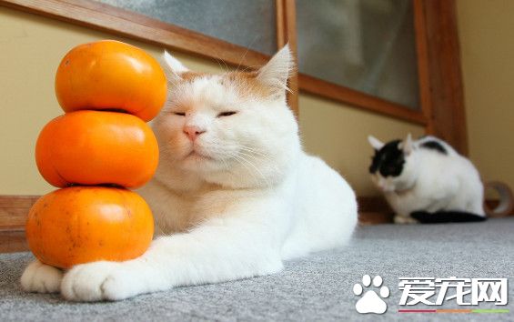 还不倒，我都不敢看了