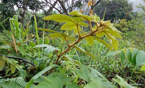 QQ截图20170306141434