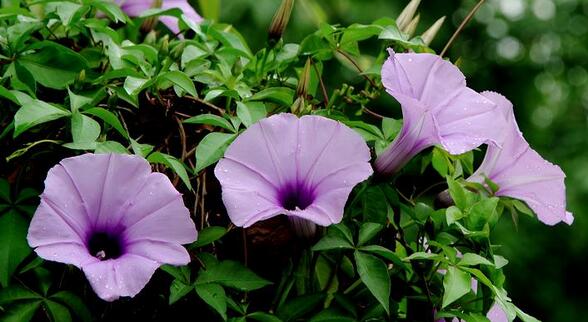 QQ截图20170306141442