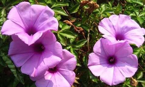 QQ截图20170306141811