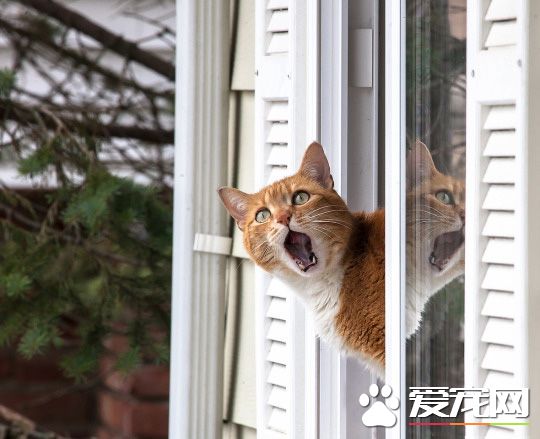 有雷暴~下雨收衣服啦