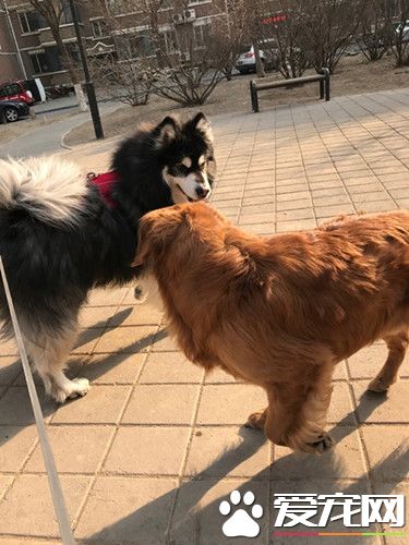 看什么看，没见过帅哥