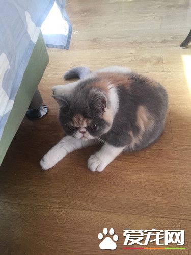 总有刁民想害朕，朕必须时刻保持警惕