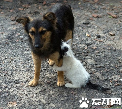 种族不同我们是不能相爱的，放开我