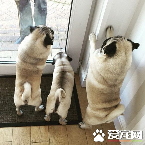 天王盖地虎，暗号对了才能开门