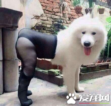 穿上黑丝袜蛮性感的