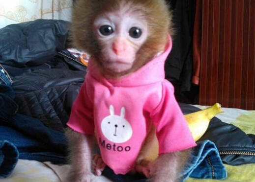 QQ截图20170309202834