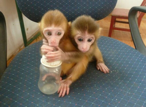 QQ截图20170309202812