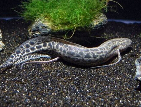 QQ截图20170309193031