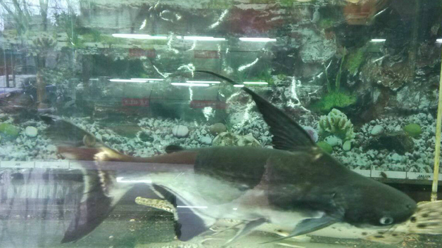 QQ截图20170309191206