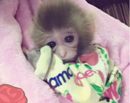 QQ截图20170309202828