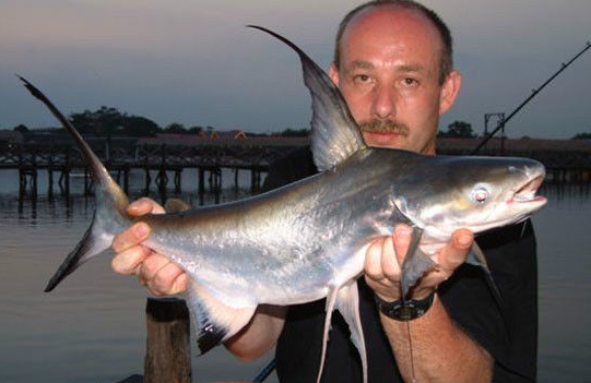 QQ截图20170309191202