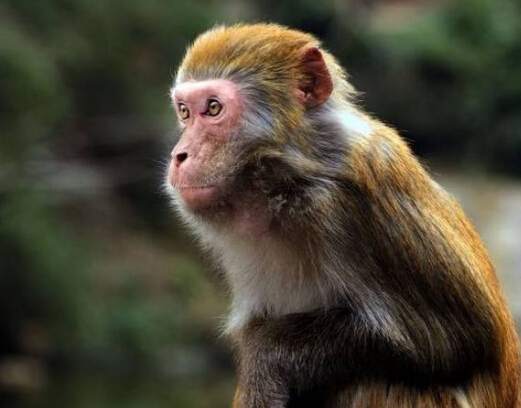 QQ截图20170412160533