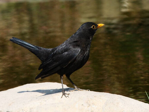 QQ截图20170412165213