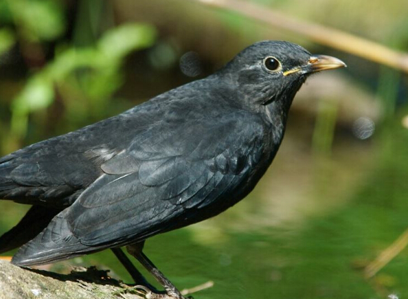 QQ截图20170412165217