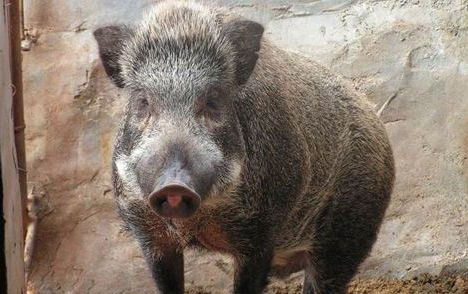 QQ截图20170412132535