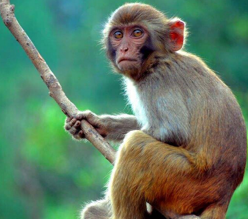 QQ截图20170412160531