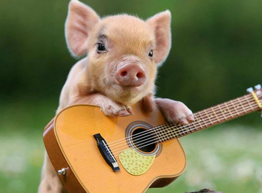 QQ截图20170413153306