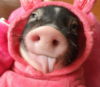 QQ截图20170413153252