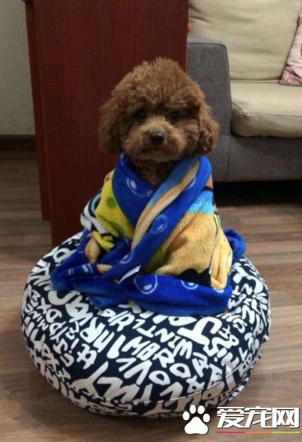 老衲正在打坐，请施主勿要打扰