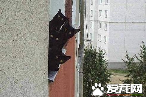 大哥，我说我们是不是晚上出动会好一点。