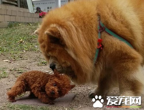 交头接耳的，你们两个在说什么悄悄话