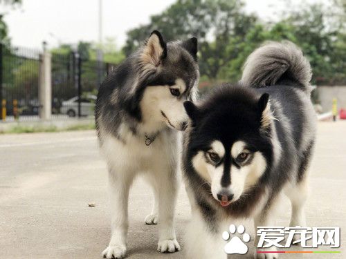 你身上有她的香水味