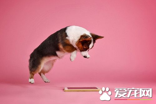 低头族难以抵挡的诱惑