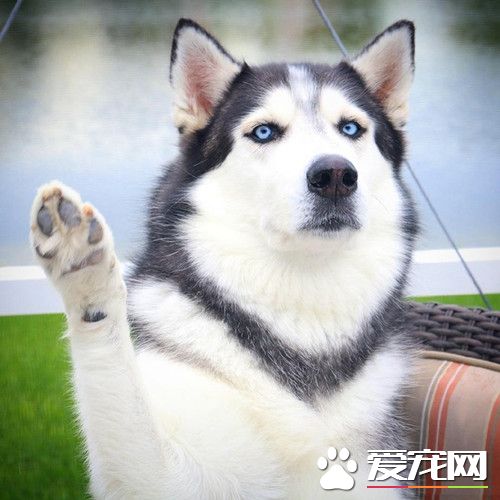 老师，我有个问题想请教一下