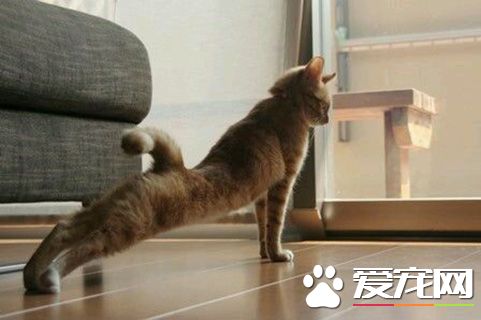 积极运动。努力减肥