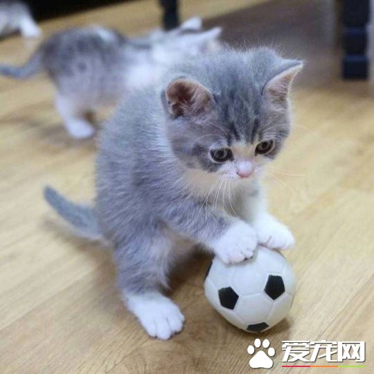 努力练球，争取进入世界杯