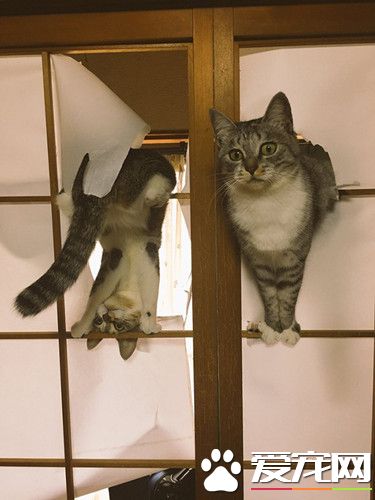 糟了，搞破坏被发现了