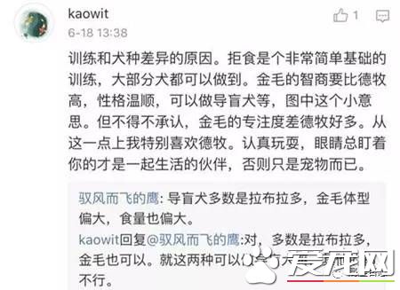 军犬与一般的狗都有啥区别？从“吃”就可看出来