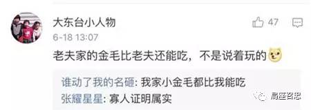 军犬与一般的狗都有啥区别？从“吃”就可看出来