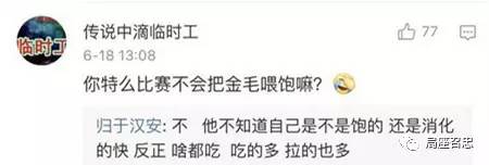 军犬与一般的狗都有啥区别？从“吃”就可看出来