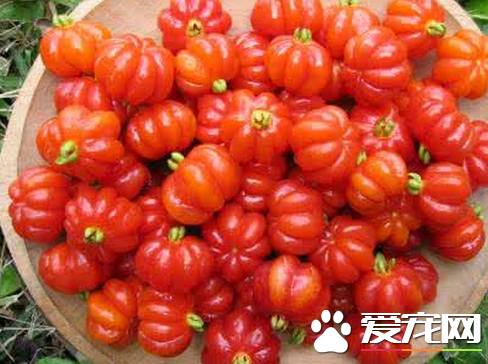 巴西红果多少钱一斤 可以吃吗