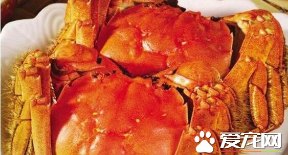 大闸蟹冷冻还是冷藏 大闸蟹冷冻后还能吃吗