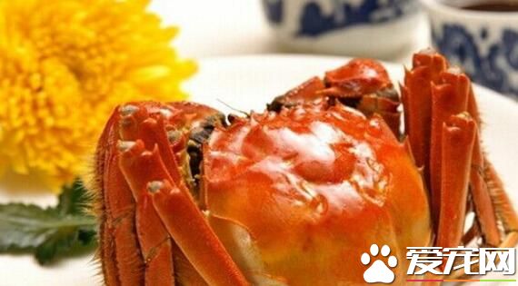 大闸蟹冷冻还是冷藏 大闸蟹冷冻后还能吃吗