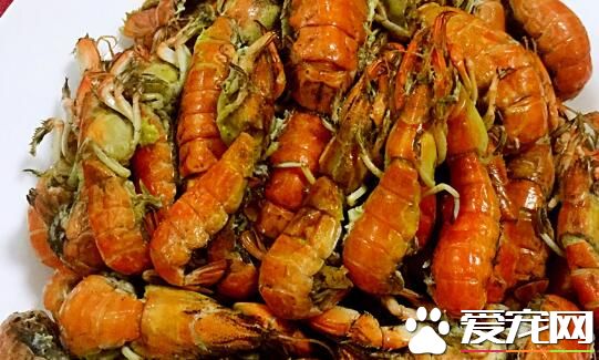 蝼蛄虾的功效与作用 蝼蛄虾什么时候最肥