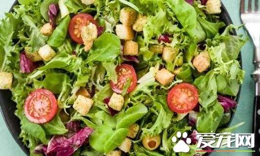 沙拉什么时候吃最好 沙拉的热量高吗