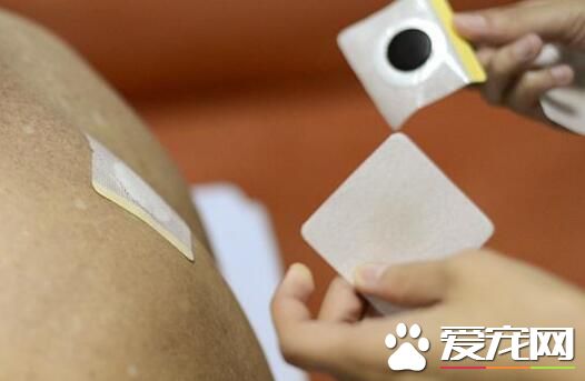 贴三伏贴可以洗澡吗 贴三伏贴后多久可以洗澡